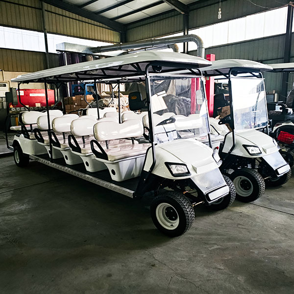 12-passenger golf cart