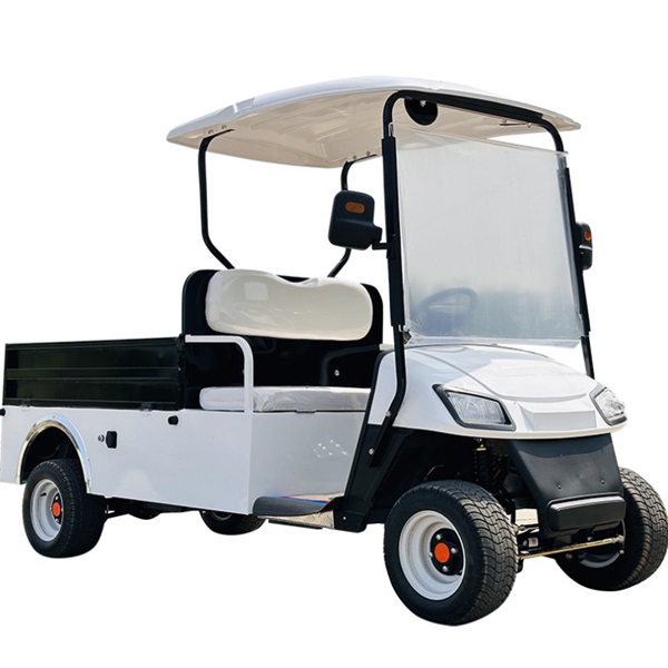 2-seater golf cart