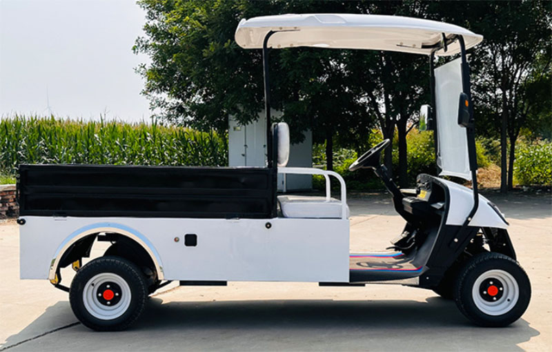 2-seater golf cart