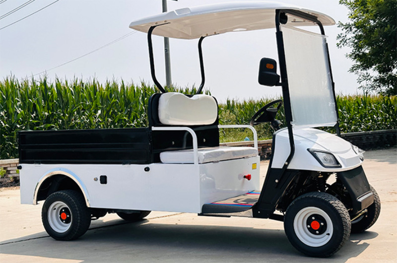 2-seater golf cart