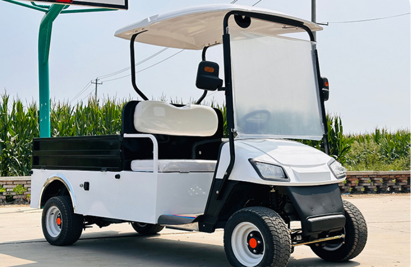 2-seater golf cart